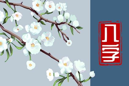 为何排盘要看藏干